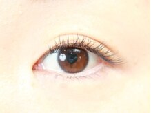 フォセット(fossette)/フラットラッシュ