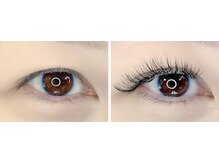 ヴィライズ 船橋(VIRISE)/バインドロック　100束　9300円