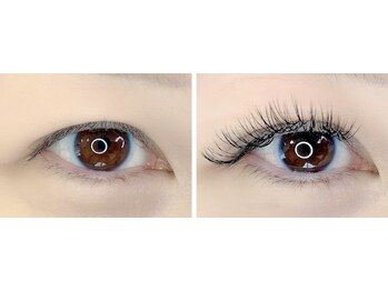 ヴィライズ 船橋(VIRISE)/バインドロック　100束　9300円