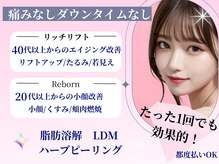 ティパニボーテ(Tipani Beaute')