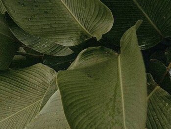 ガーデン 豊中(GARDEN.)/まつげパーマ/まつ毛パーマ/豊中