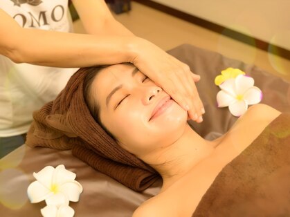 ポモ(POMO)の写真