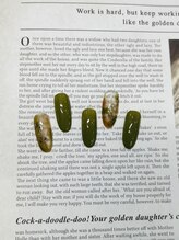 エン(EN.)/定額デザイン