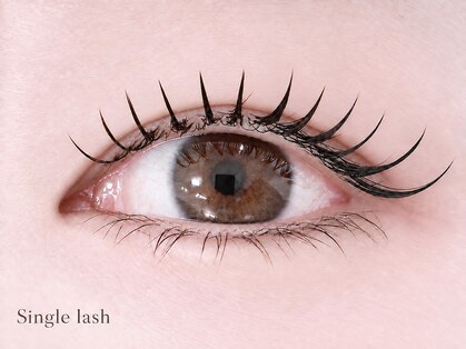 スウィートラッシュ(Sweet Lash)の写真