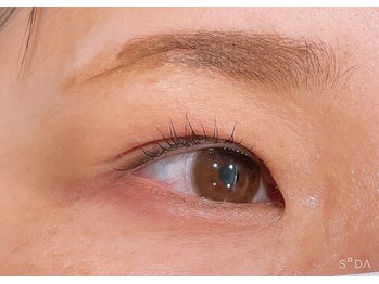 ピクシーボブ(Pixie Bob)/根本からしっかりカール