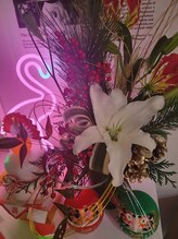 ジュエル ラ メール(Jewel la mer)/