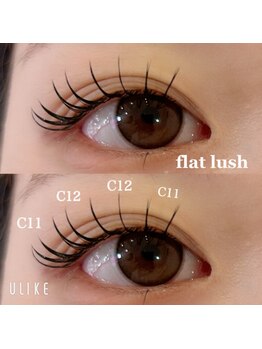 ダリア(DAHLIA)/フラットラッシュ120本