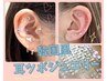 初回限定！【大流行中♪耳ツボジュエリー】6粒☆3000円