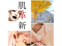 スキンイノベーションサロン 新潟女池店