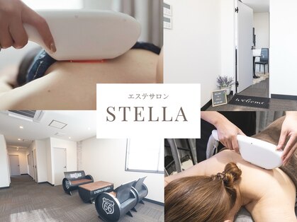 ステラ(STELLA)の写真