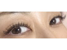 ダリア(Dahlia)/フラット１２０本★