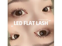 アイリス(eyeris)の雰囲気(LEDフラットラッシュ*100束)