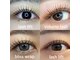 ディッシュビューティー(dish beauty)の写真