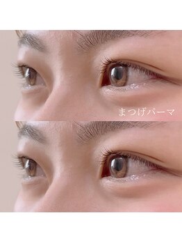 セーテ(sete)/【Lashlift】上のみ