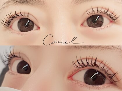 キャメル(camel)の写真