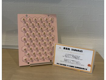 ハリファ鍼灸院 熊本院(HariFa鍼灸院)/長生灸