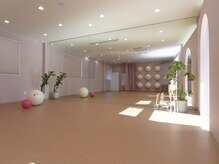 ムーンバランスボール(moon balanceball)