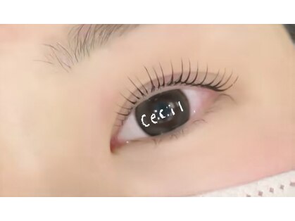 マツゲヤサンセシル(Cecil)の写真