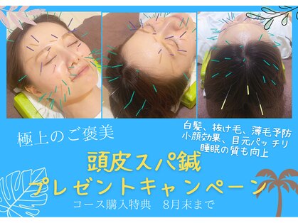 ルッチボディ(Lucci Body)の写真