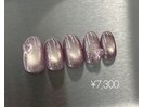 【定額】シンプルコース