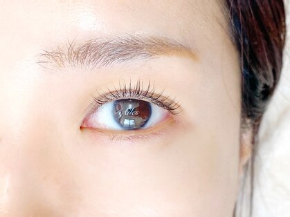 エール(Ailes)の写真