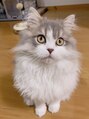 癒し～ぷアイラックス 名古屋店&nbsp;ペットが私の癒しです！猫とうさぎを飼っています♪
