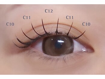 カクテル(COCKTAIL)/フラットラッシュ100本