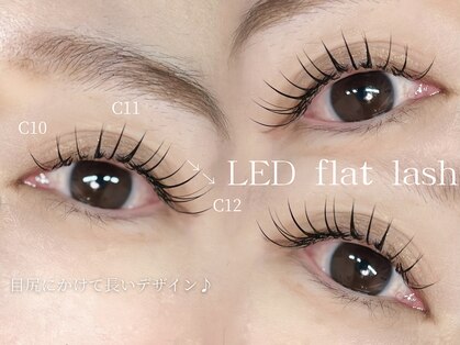 アンドナイン(AND NINE)の写真