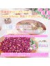 数量限定【Venus】夏肌ケア/美肌/ローズたっぷり11種よもぎ蒸し30分2900円
