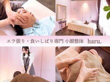 ハル(haru.)