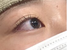 ピクシーボブ(Pixie Bob)/根本からしっかりカール