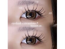 ローズピンク(rose pink)/フラットラッシュ120本