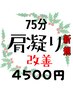 【１２月の疲れ】忙しい方の疲労回復！首肩集中筋膜整体＆ヘッドスパ75分