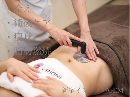 インディバジェム(GEM)の写真