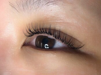 ウルカ アイラッシュ(uruka EYELASH)/フラットラッシュ　140本