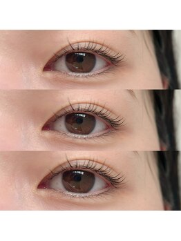 ジョリー(Jolie)/