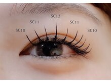 カクテル(COCKTAIL)/フラットラッシュ120本