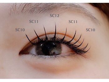 カクテル(COCKTAIL)/フラットラッシュ120本