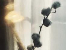 エメ(aimer)/店内