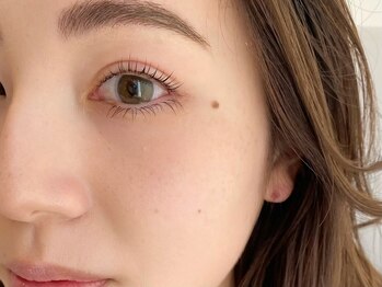 カメリ(KAMERI)/フラットラッシュ/上下/まつパ