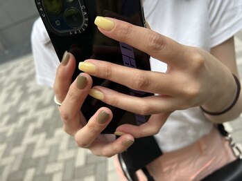 コダサンマルハチ(koda 308)/ワンカラー