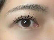 フリー#240(Free#240)/バインドロック300本