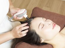 ルピナス(Lupinus)