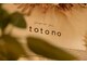 ととの(totono)の写真