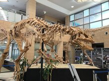 まごんて整体院/福井恐竜ミュージアム【妊娠中】