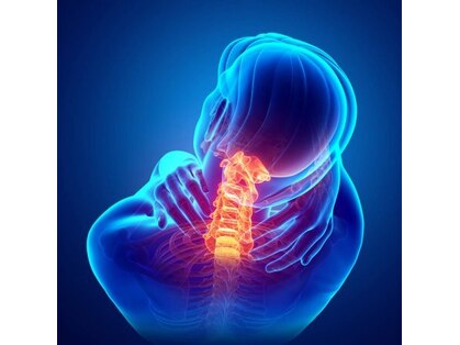 エッセンシャル(Essential)の写真