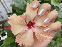 ラパーム(Lapalm)