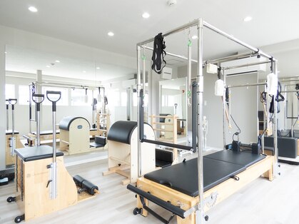 カリス(charis)の写真