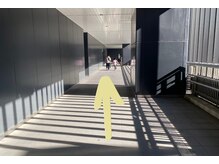 ティーツリーアロマアンドホリスティック(tea tree aroma & holistic)/まっすぐ進み、階段を降りる