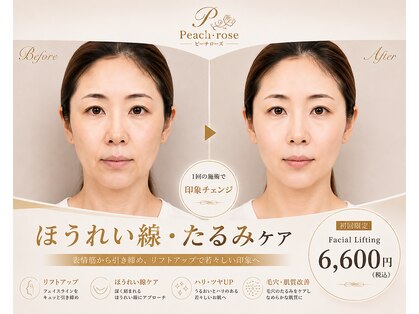 ピーチ ローズ(peach rose)の写真